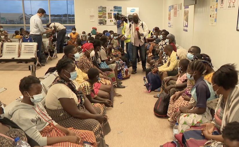 Idps.palma_.tvm_