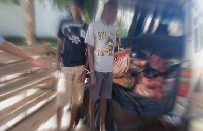 Meatcatandica.not_.not_
