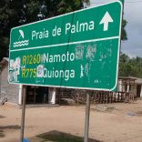 Palma.pinnaclen