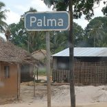 Palmafile.saladapaz