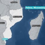 Palmamoz.map_.trt_