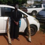 Ivory.maputo.not_