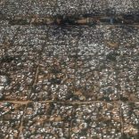 Kenianrefugeecamp.file_