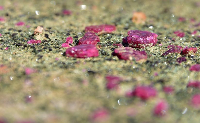Rubies.bloomberg