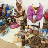 Traditionaldoctors.ikweli