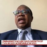 Zimm.b