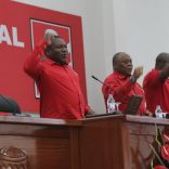 Frelimo.cc.sp_