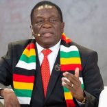 Mnangagwa.edhf_