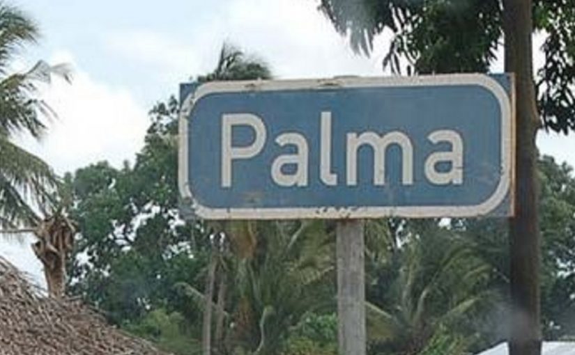 Palma.cropped