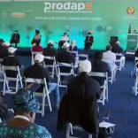 Prodappe