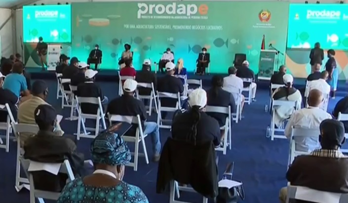 Prodappe