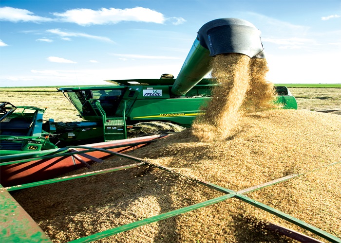 Mozambique to lower corporate tax rate for large farms to 10%