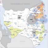 Sitreport