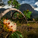Chimanimani.op_