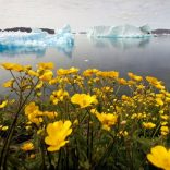 Climatech.f