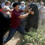 Tunisiafr.afp_