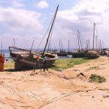 PEMBA-3