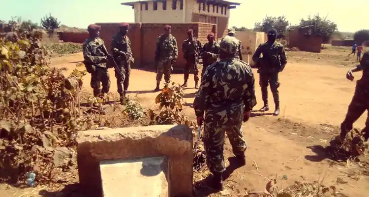 Malawib.m24