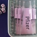 Pfizerv.b