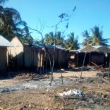 Cabodelgado.mucojo.dw_