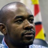 Chamisa.zim_