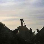 Coalrm.rm_