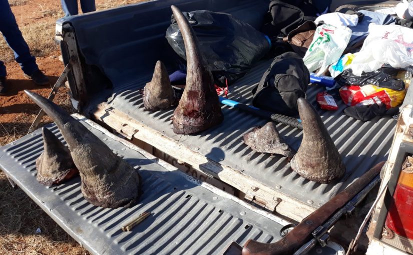 Rhinos.mz_.sa_