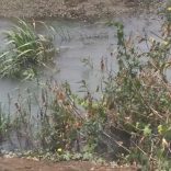 Crocs.tvmuinga