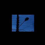 Electricity.rm_.rm_