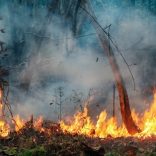 Fire.ikweli