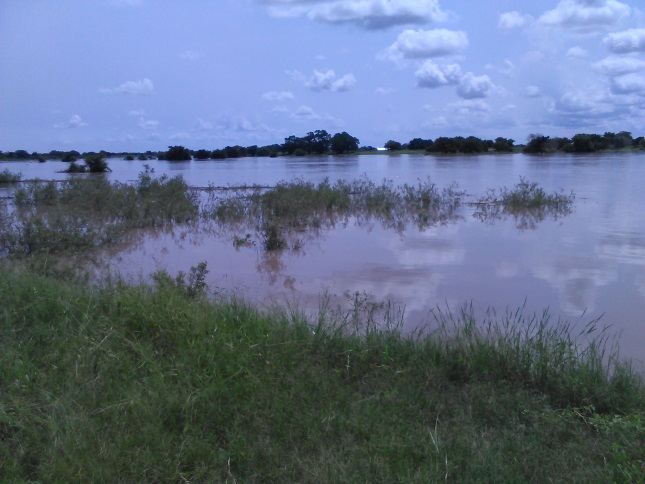Foloods.floods.rm_