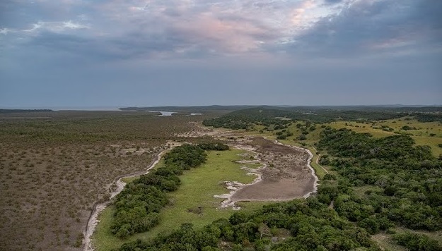 Maputospecialreserve.pp_
