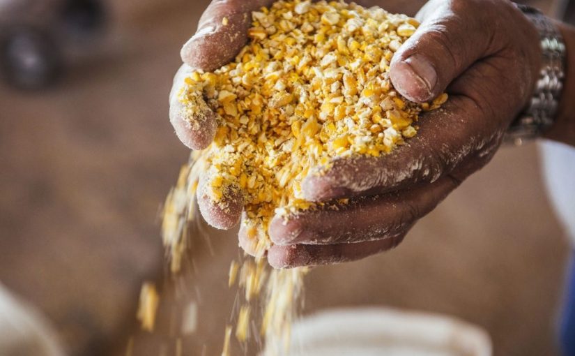 Corn.b.b