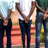 Kidnappers.op_.op_