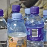 Bottles.domingo