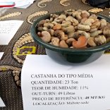 Cashewchashew.mabote.fb_
