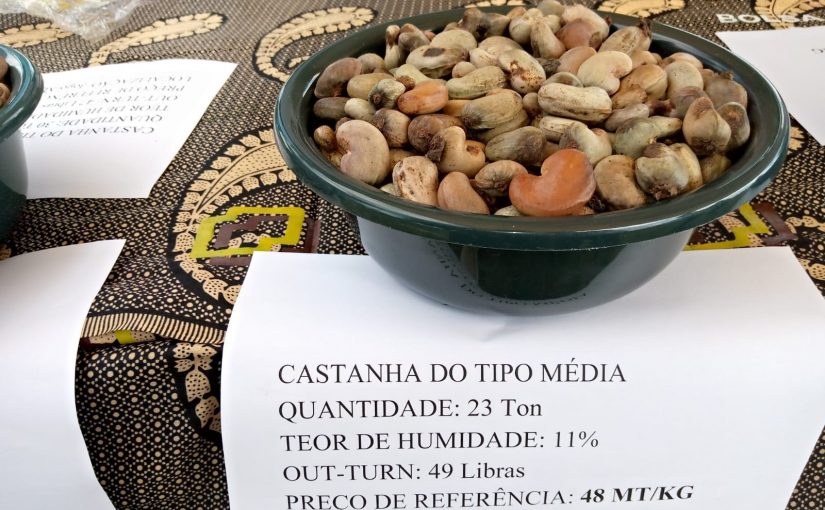 Cashewchashew.mabote.fb_