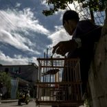 Cuba.afp_