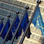 Euflags.r