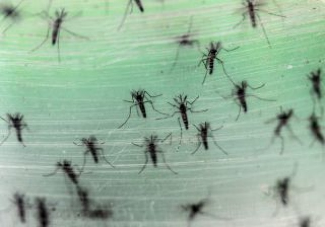Malaria.rm_.rm_