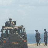 Sandf.pemba_.voa_