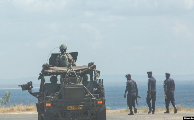 Sandf.pemba_.voa_