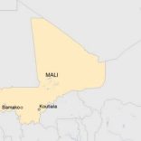 Malim.b