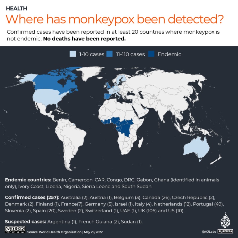 Monkeyp.aj_