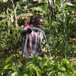 Faoproj.fao_