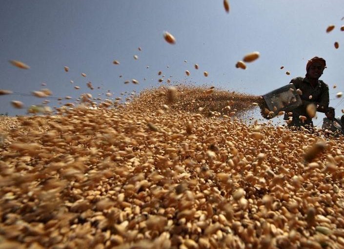 Indiawheat.r