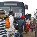 Buses.lusa_