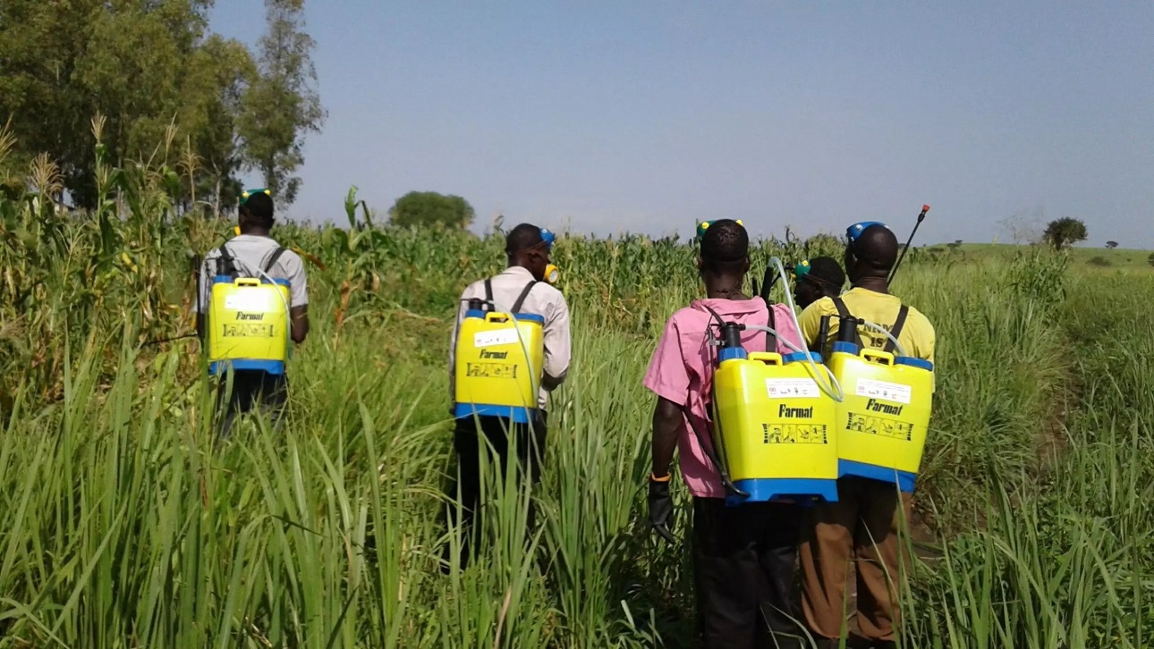 Rotten eggs: Farmer told fertilizer stinks