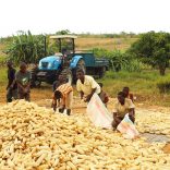 Agric.not_