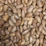 Beansb.rm_
